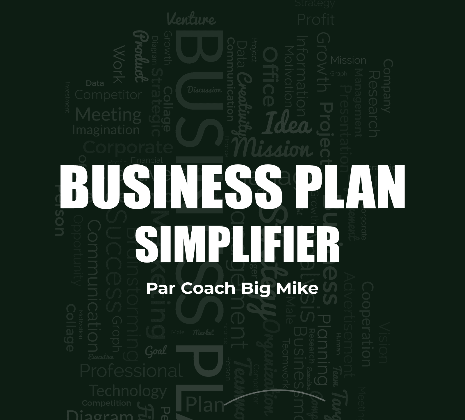 Business plan simplifié